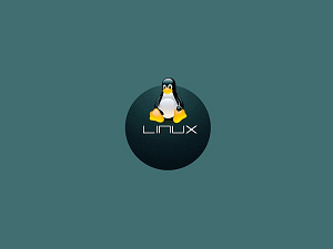 Newly Discovered Linux Malware Has Been Around For Years